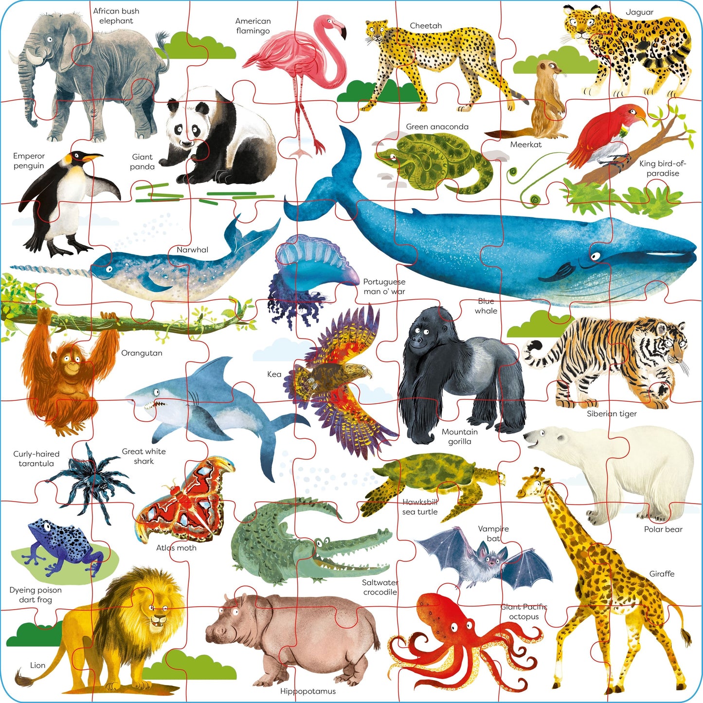 Usborne Book and Jigsaw Wild Animals