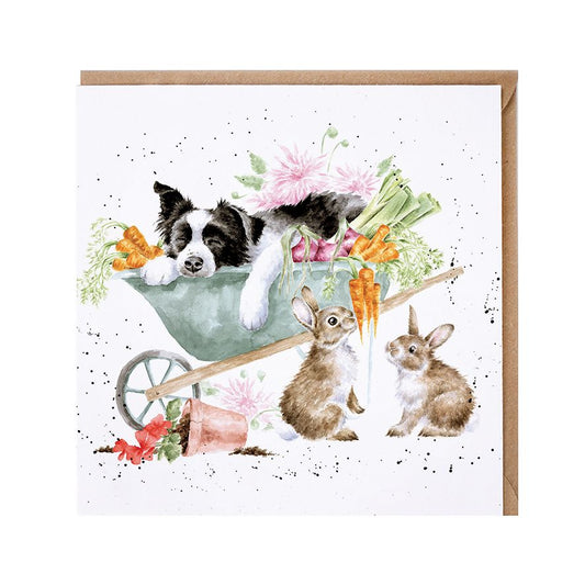 'SLEEPING ON THE JOB' COLLIE AND RABBIT CARD