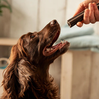 plant based dental sticks