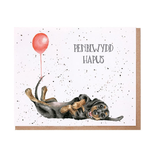 'PENBLWYDD HAPUS' DACHSHUND CERDYN (WELSH)